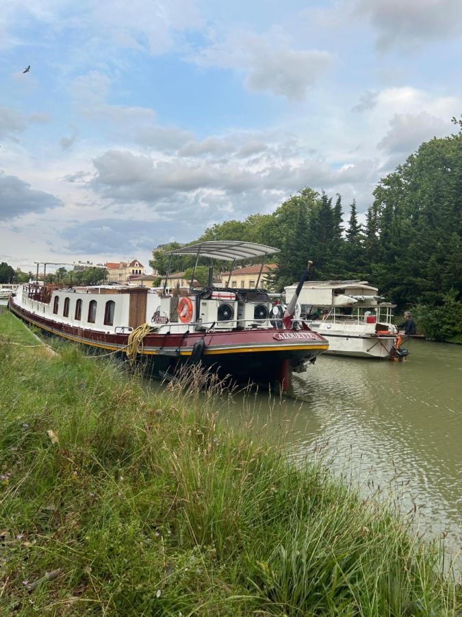 Carcassonne Aigle D Or Apartment Ngoại thất bức ảnh